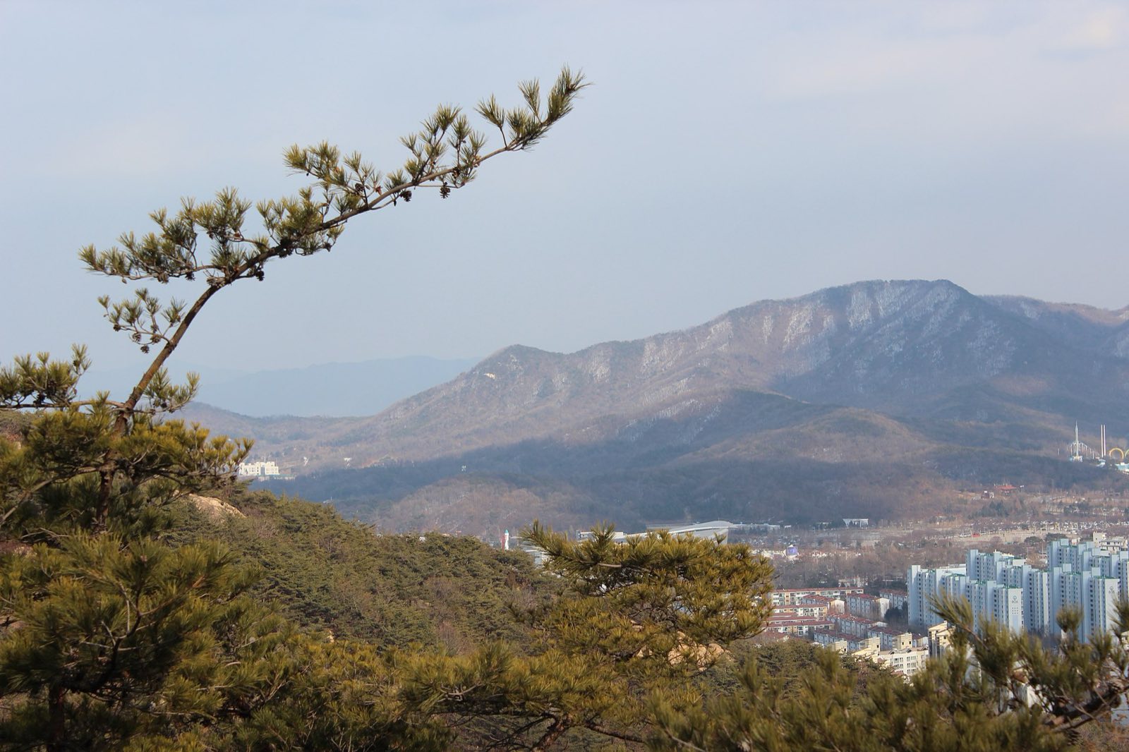 Cheonggyesan Hiking Guide: Seoul's Easy Escape (Trails, Tips & Getting There)