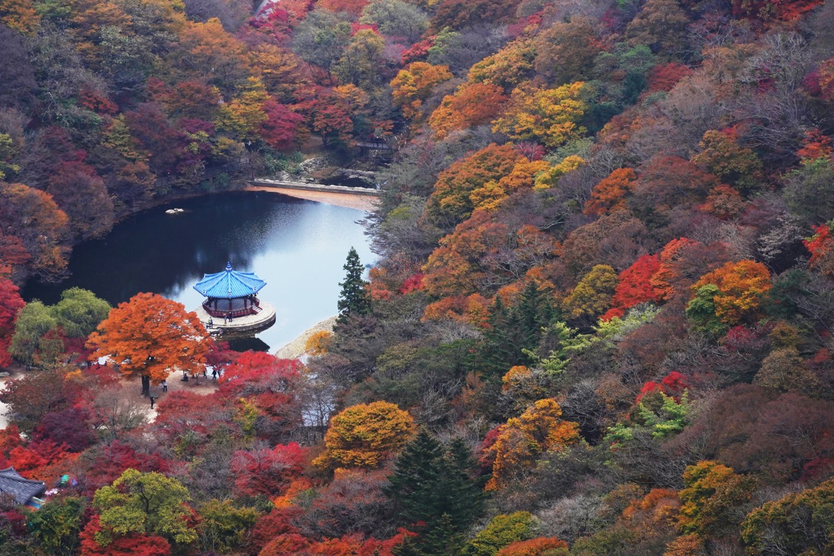 Seoul Autumn Foliage Guide: Best Spots for Fall Colors