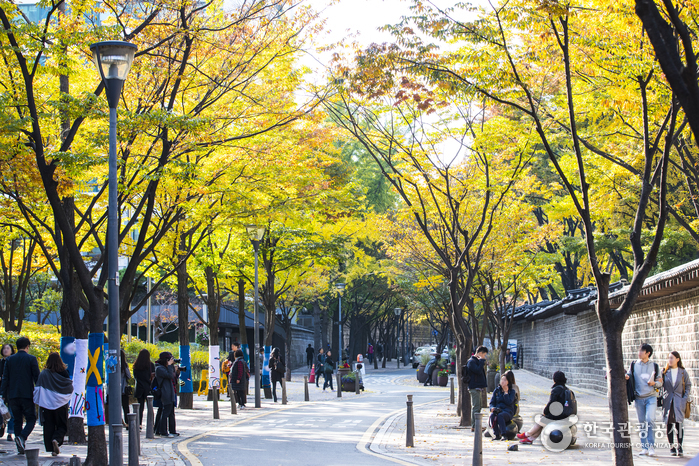 Deoksugung Stone Wall Path