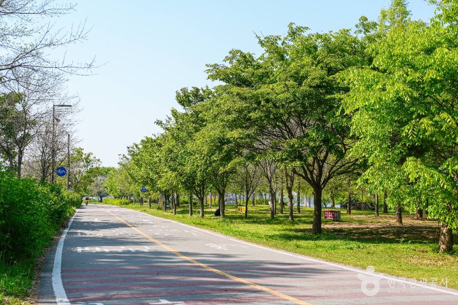汝矣島漢江公園