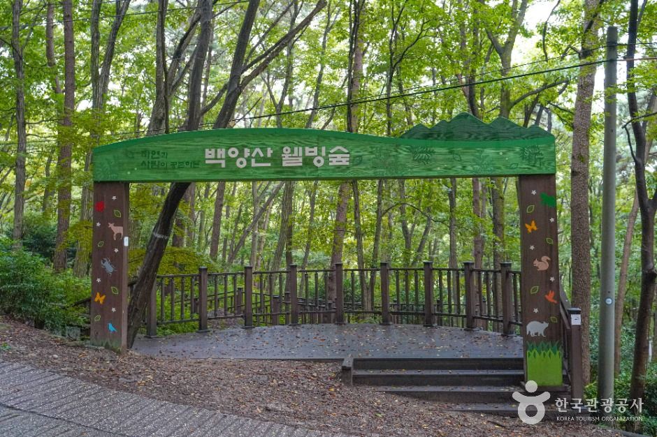 Baegyangsan Well-being Forest