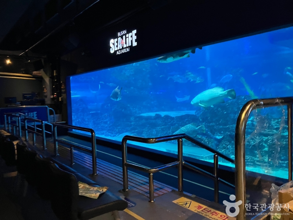 SEA LIFE Busan Aquarium