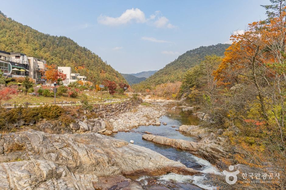 五大山小金崗谷