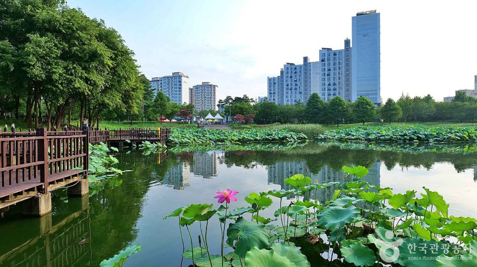天旺近隣公園
