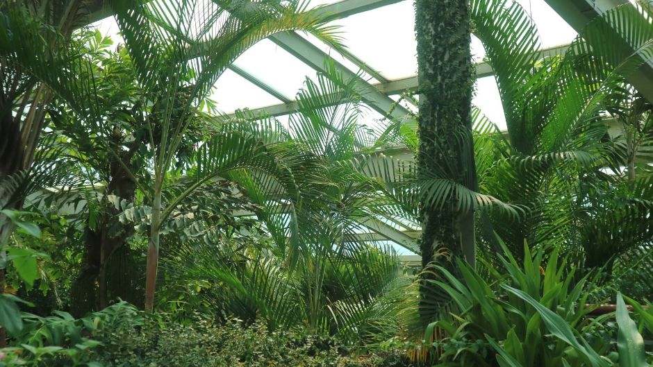 Seoul Forest Insect Plant Garden