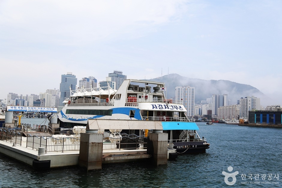 Jagalchi Cruise