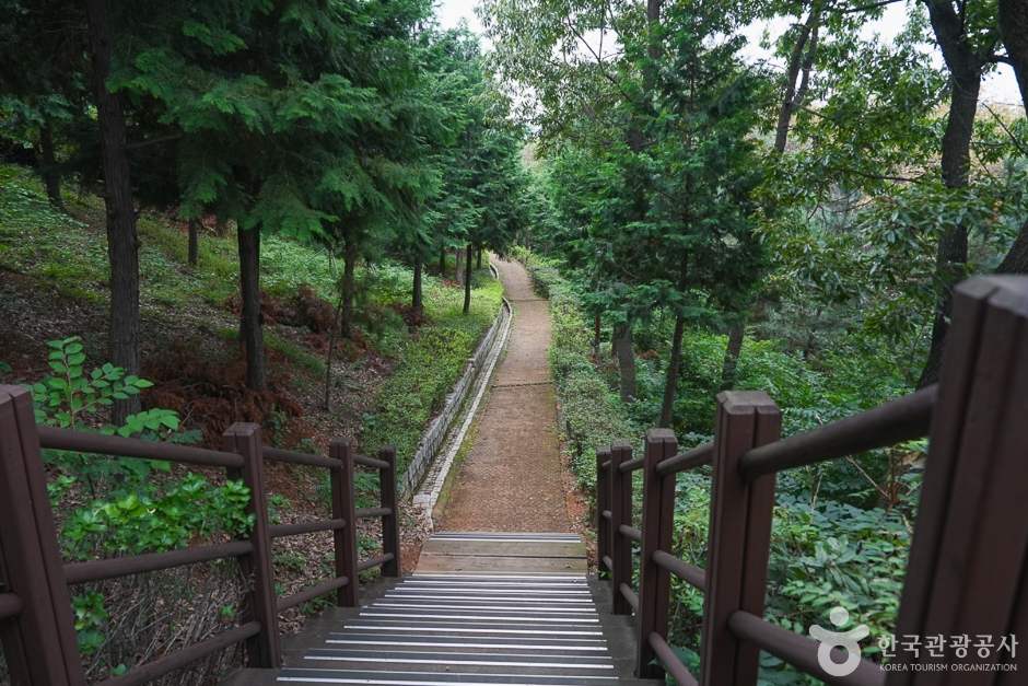 桂陽山森林浴場