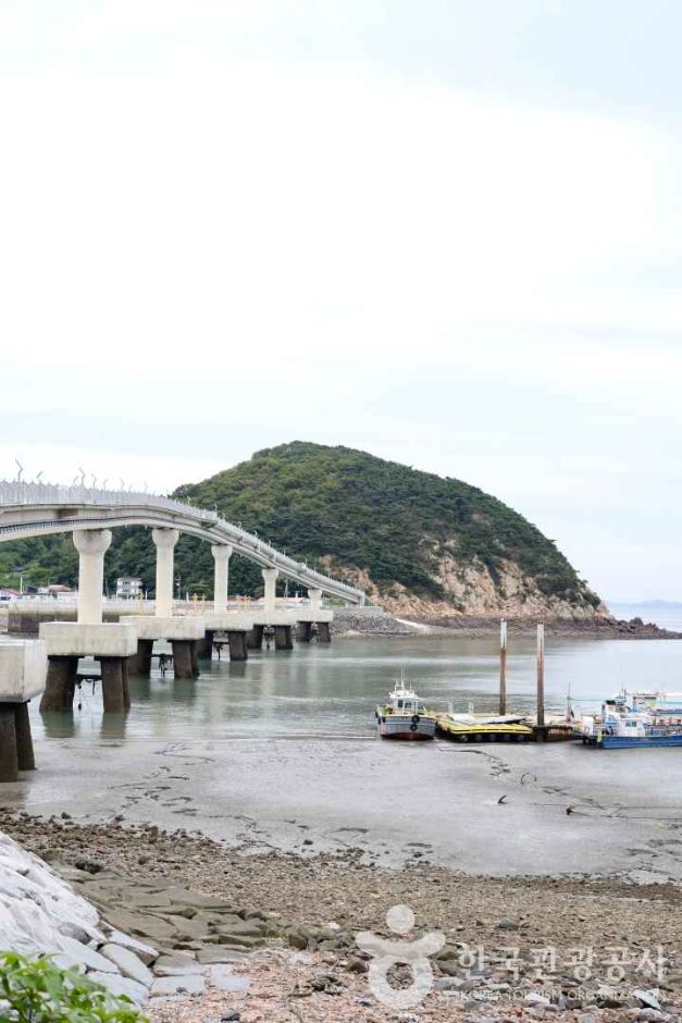 光明港