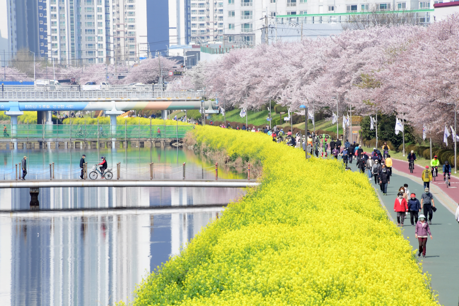 東渓温川街(Oncheoncheon Cafe Street)