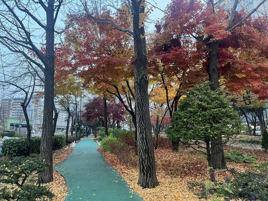 九老通り公園
