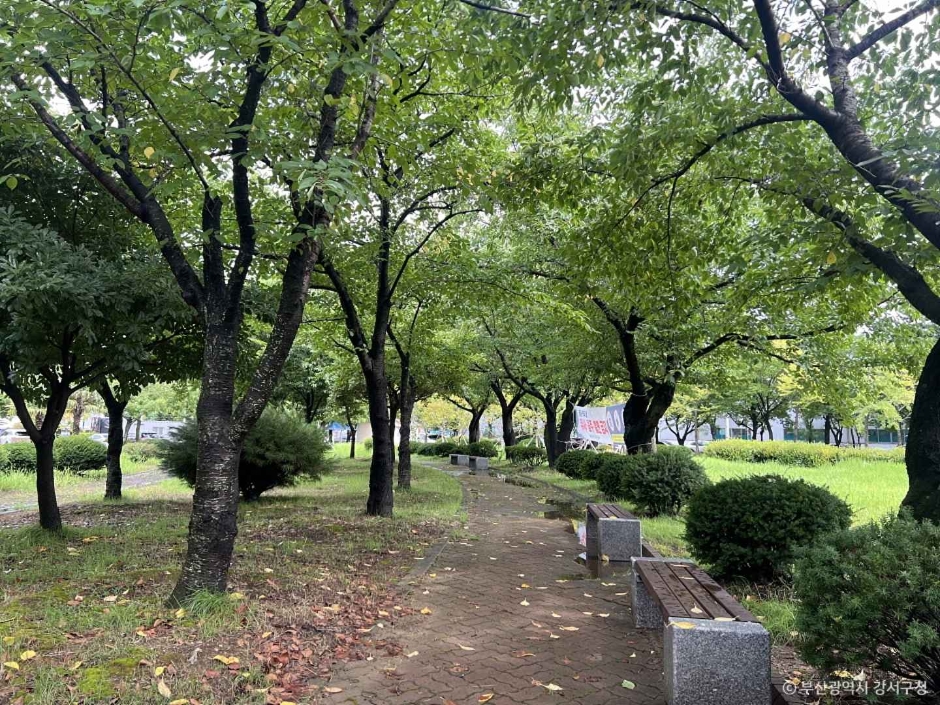 Boram Park