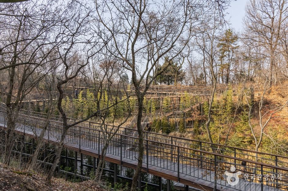 大母山都市自然公園