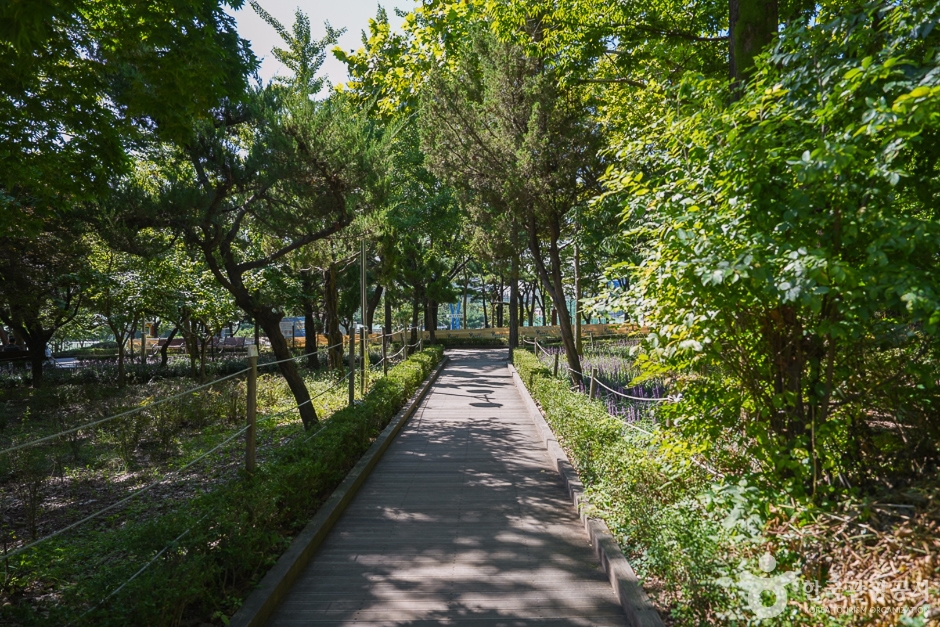 礼山国立スポーツ公園