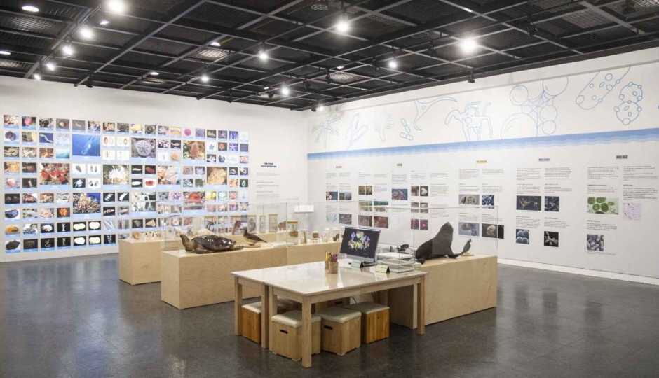 Ewha Womans University Natural History Museum