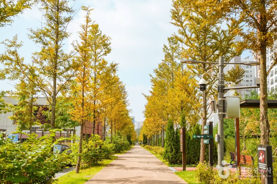 プルン樹木園