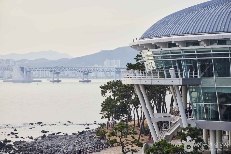 Dongbaekseom Island