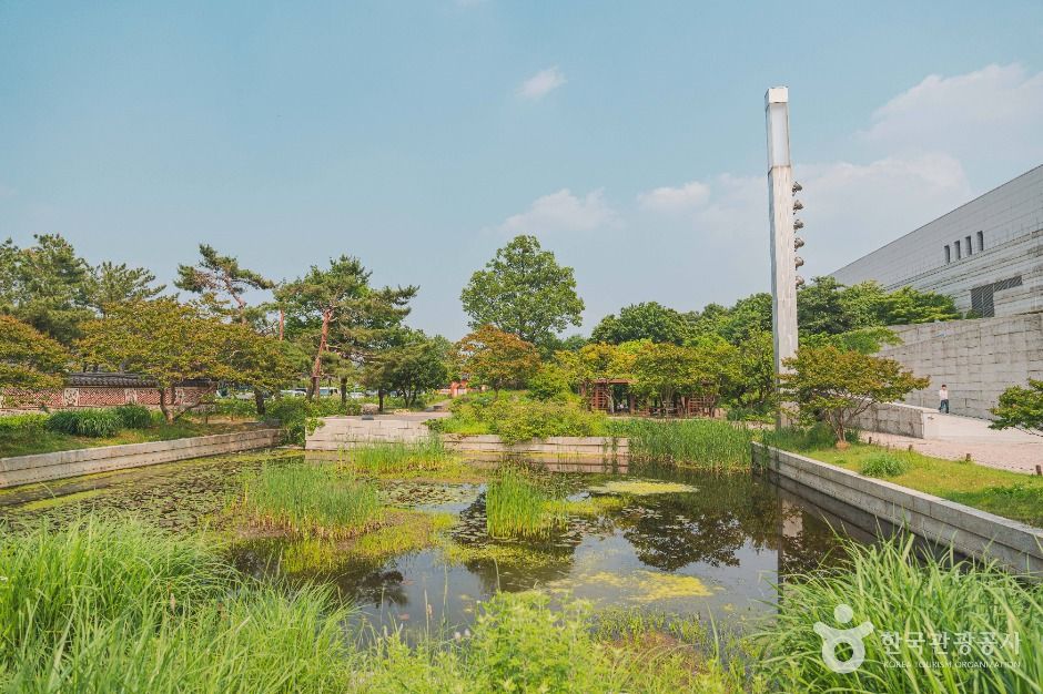 National Museum of Korea Traditional Dye Plant Garden