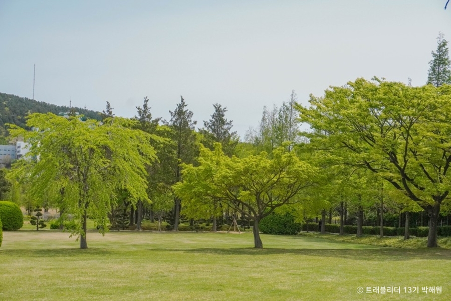 Daeyeon Arboretum