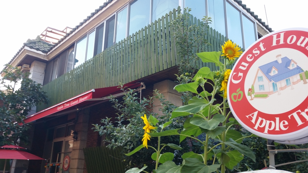 Apple Tree Guest House