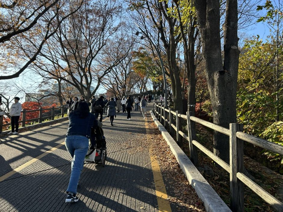 南山循環散策路