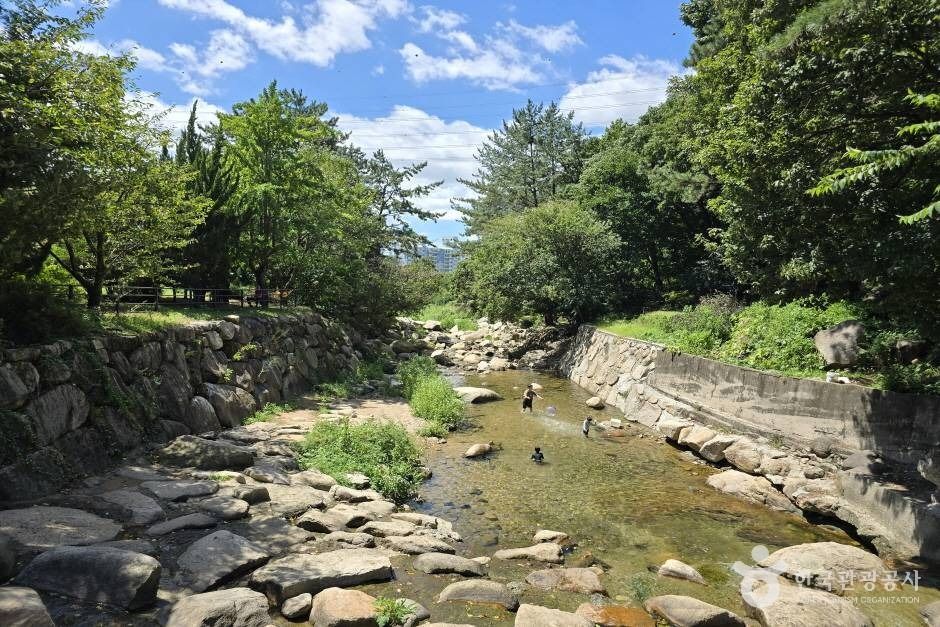 Daecheoncheon Stream