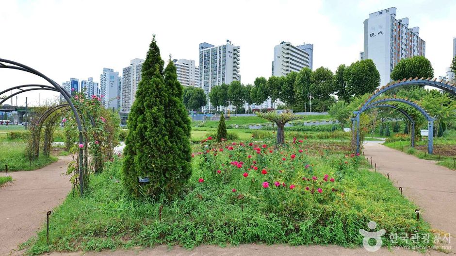 Anyangcheon Four Seasons Theme Garden