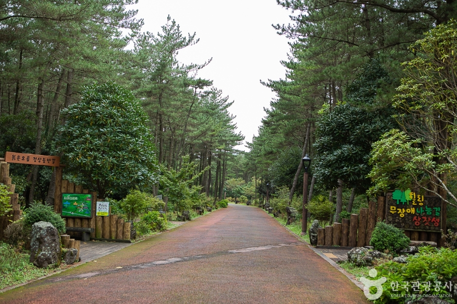 Bulgeun Oreum Natural Recreation Forest