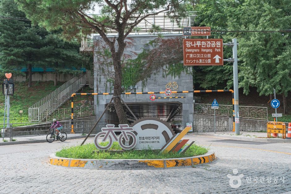 千戸自転車通り