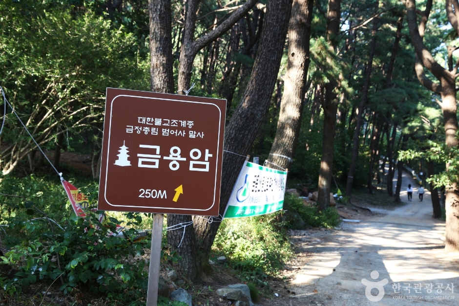 金拉瓦(釜山)