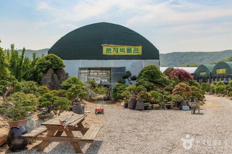 Bonsai Museum