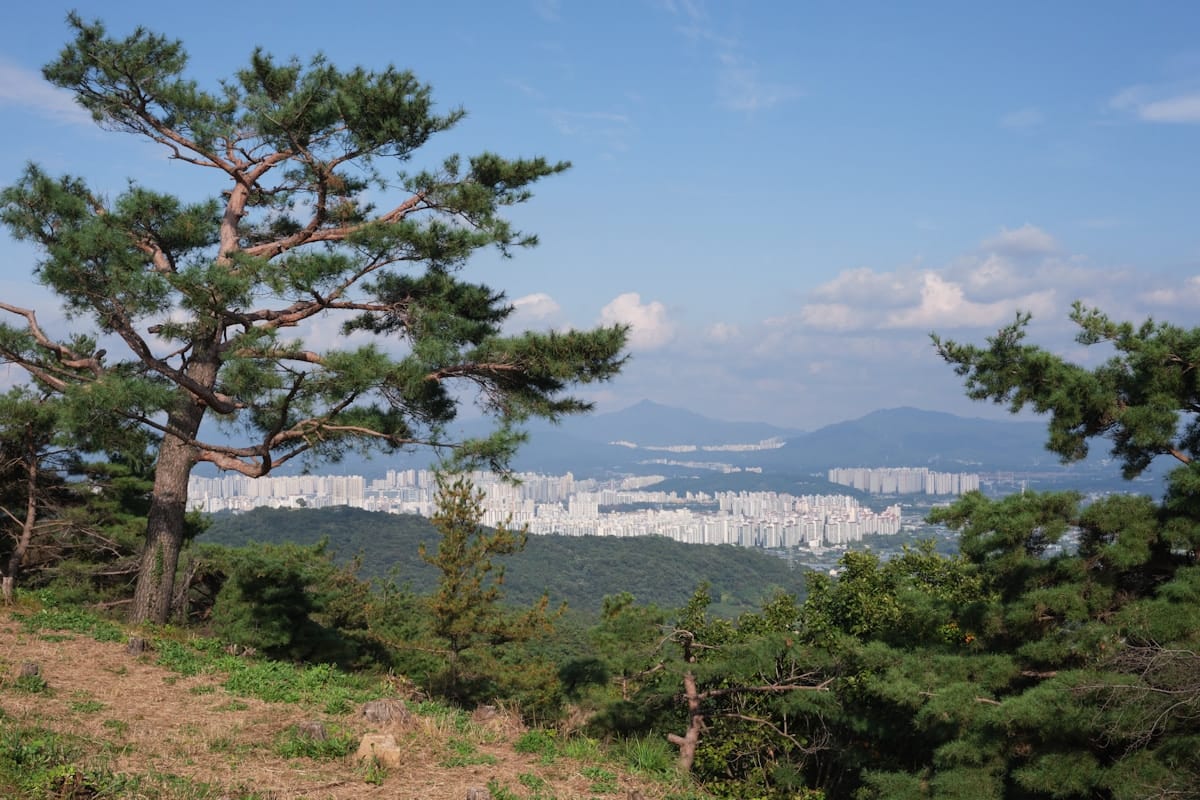 Seoul Hiking Trails Guide: Best Mountains Near Seoul by Difficulty (2026)