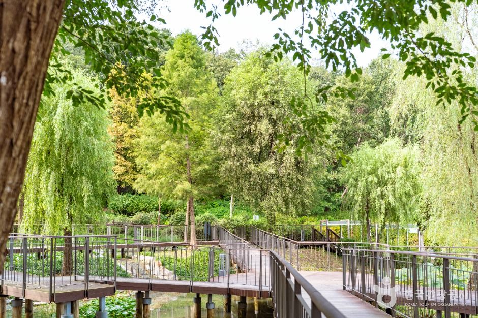 温水都市自然公園(ジャッチョル公園)