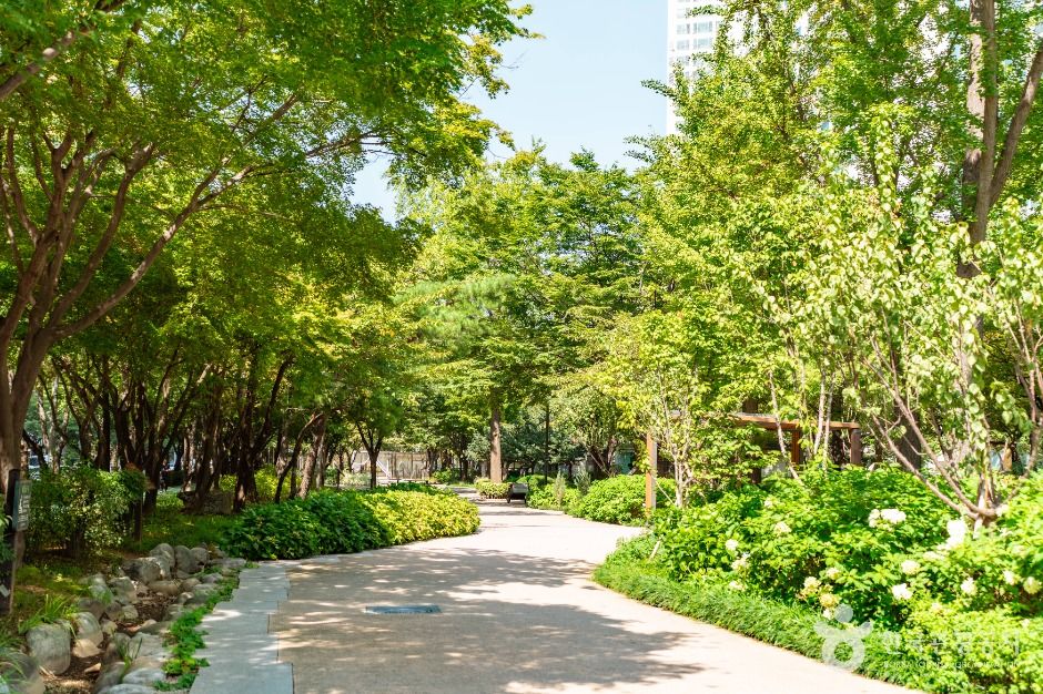 通り公園