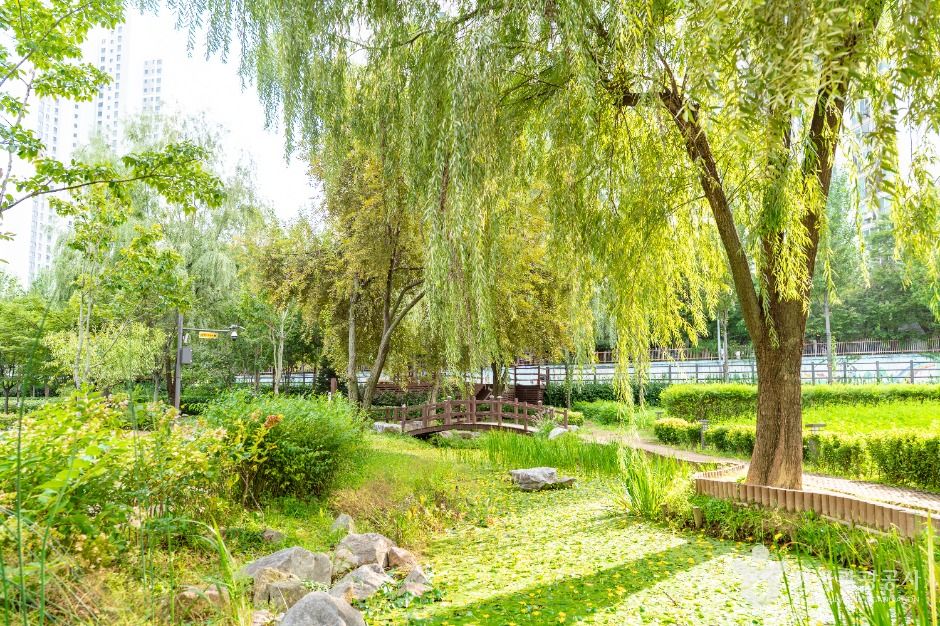 開峰遊水池生態公園
