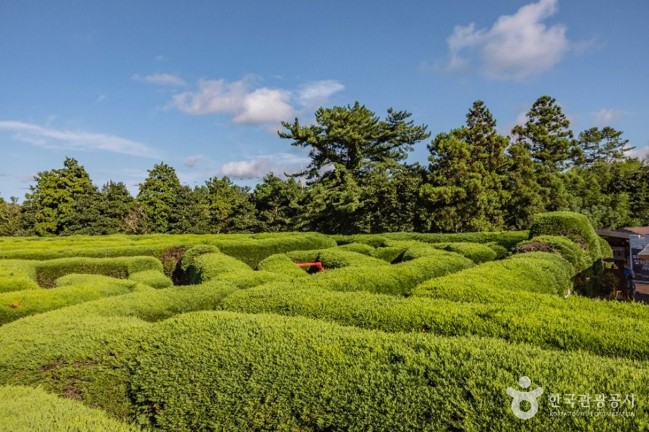 Gimnyeong Maze Park