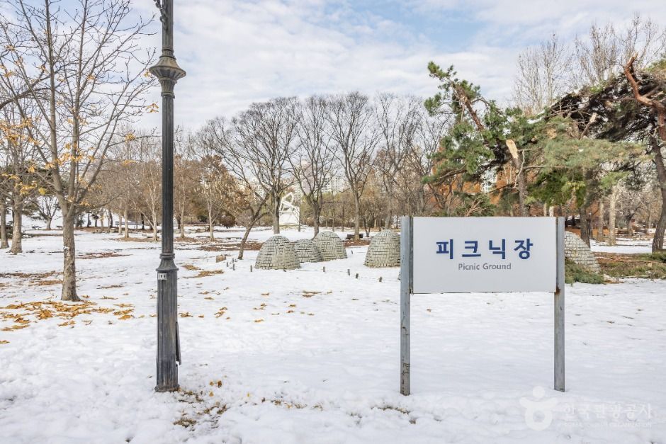 オリンピック公園ピクニック場