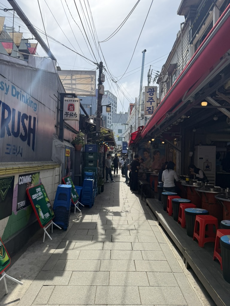 仁寺洞、宗廟、益善洞：伝統市場・王室廟・午後のフードツアー 6