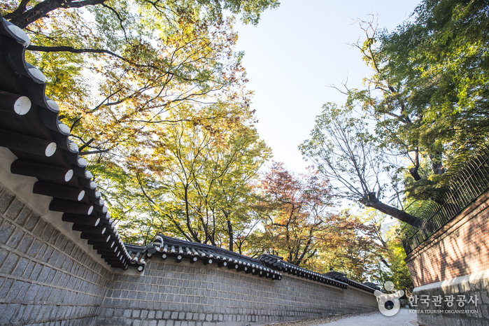 Deoksugung Stone Wall Path gallery image 2